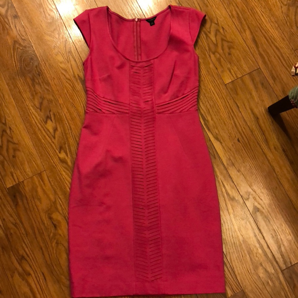 Professional pink dress